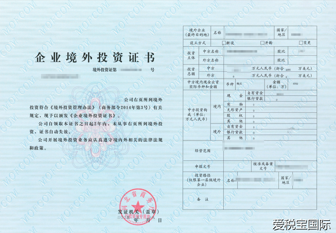 河北XXX有限公司ODI备案证书